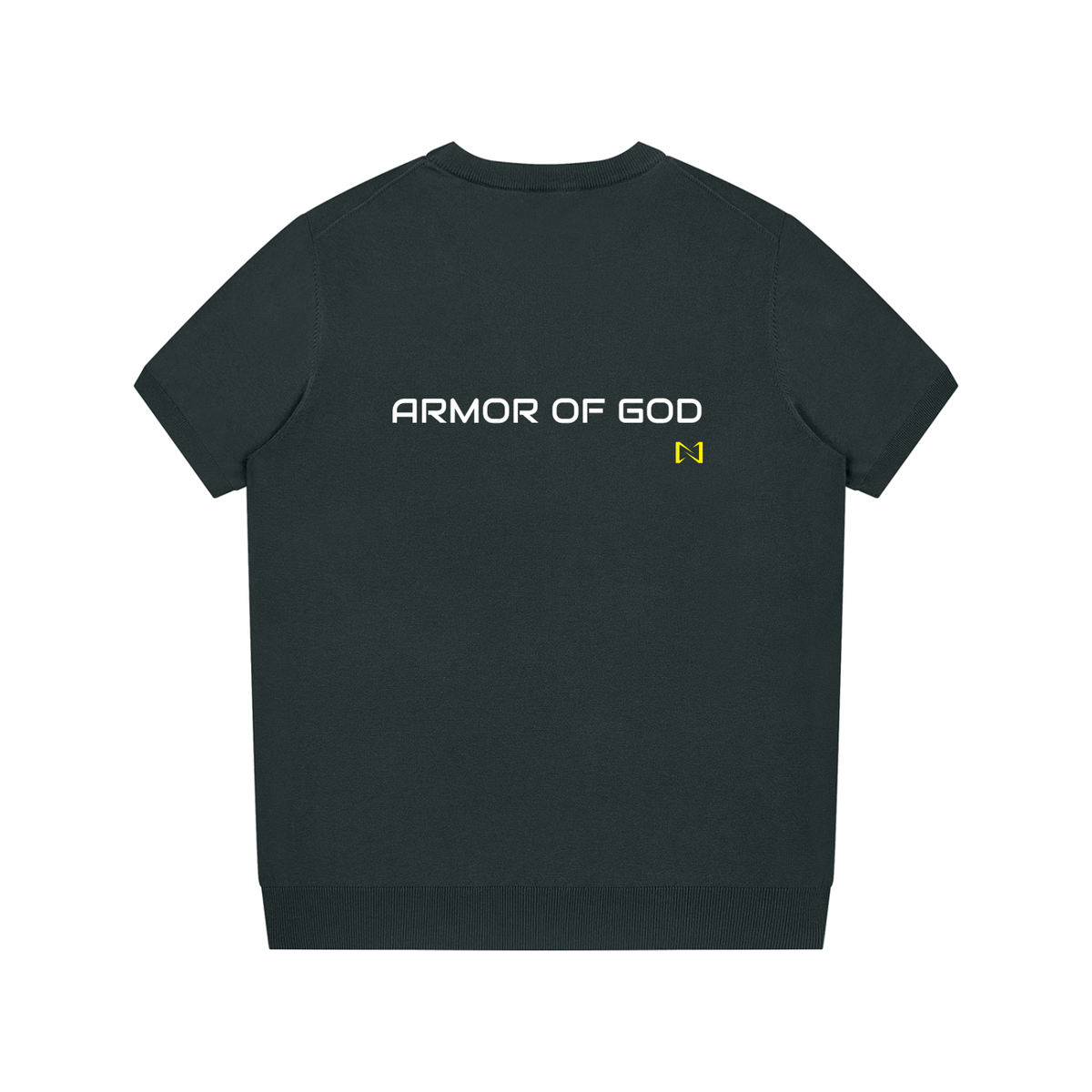 NPRWLR Crewneck Knit T-Shirt in dark gray, second view of the knit crewneck
